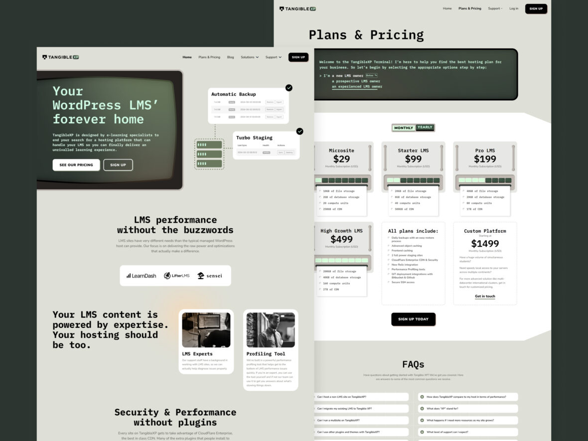 Homepage Design for TangibleXP Hosting Platform Marketing Website
