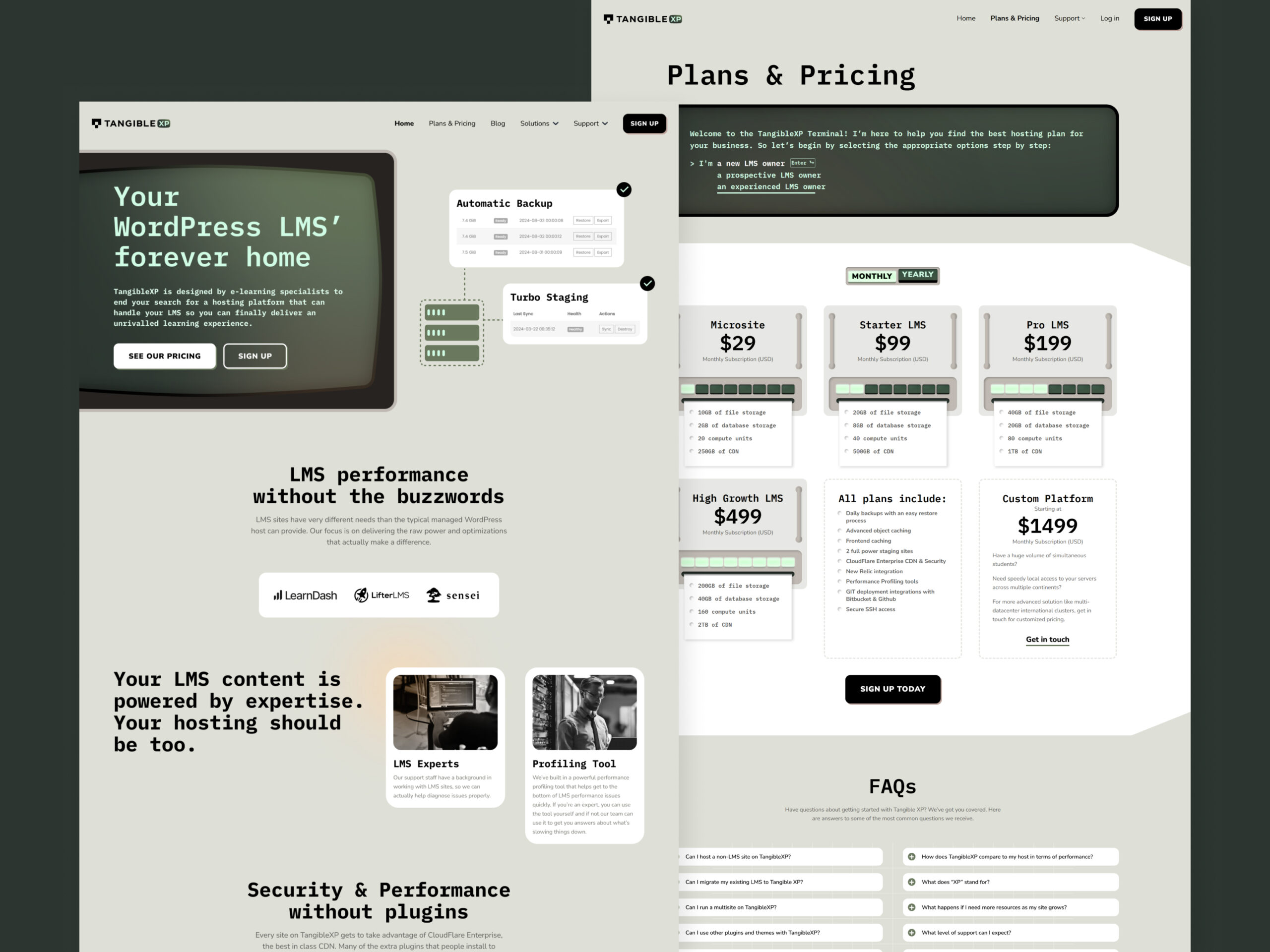 Homepage Design for TangibleXP Hosting Platform Marketing Website